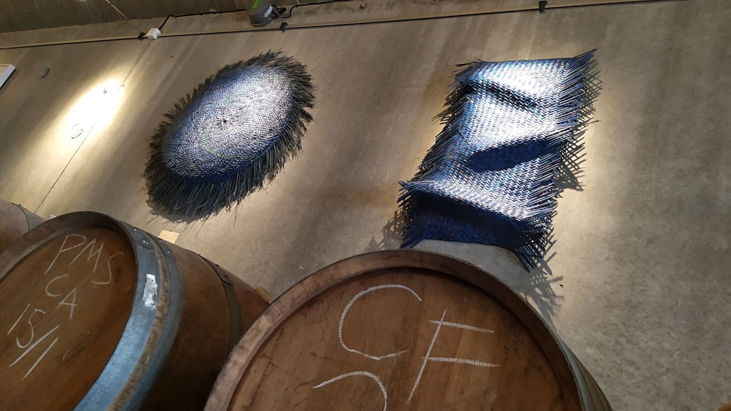 The best family attractions | Matakana, Auckland