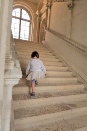 What Else to Explore With Your Family