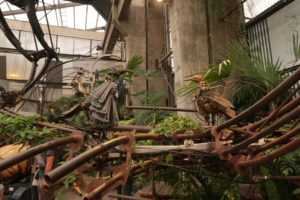 One Day In Nantes France