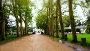 Château de Chenonceau: Complete Visitor Guide & Ticket Prices & Insider Tips