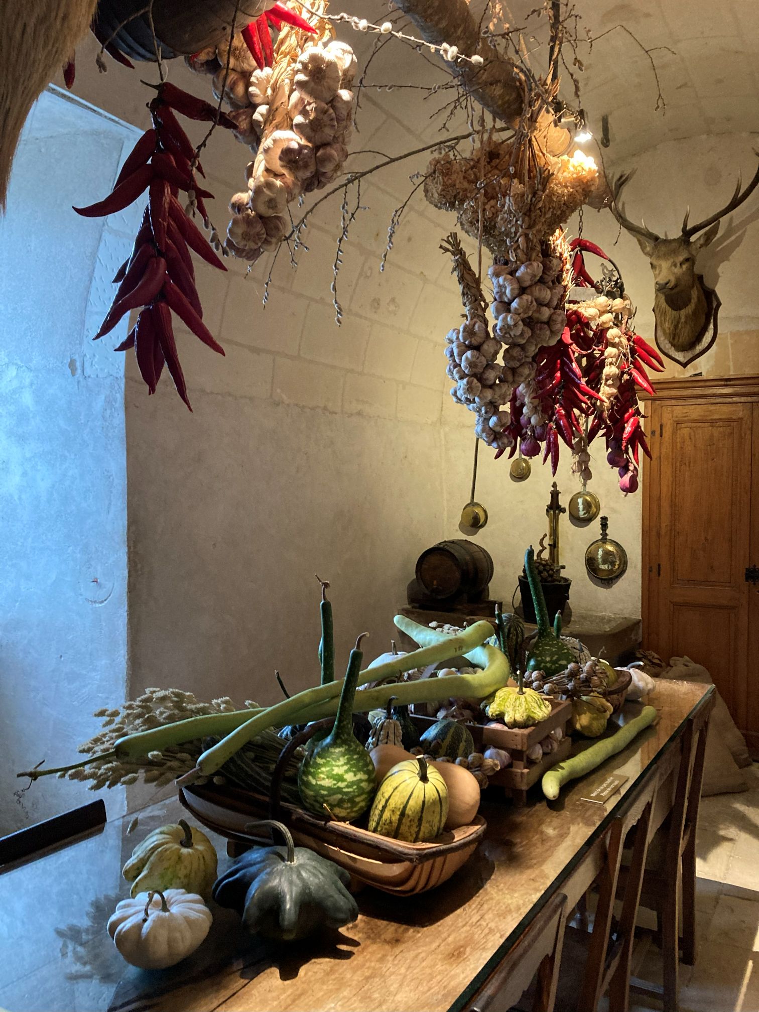 Château de Chenonceau: Complete Visitor Guide & Ticket Prices & Insider Tips